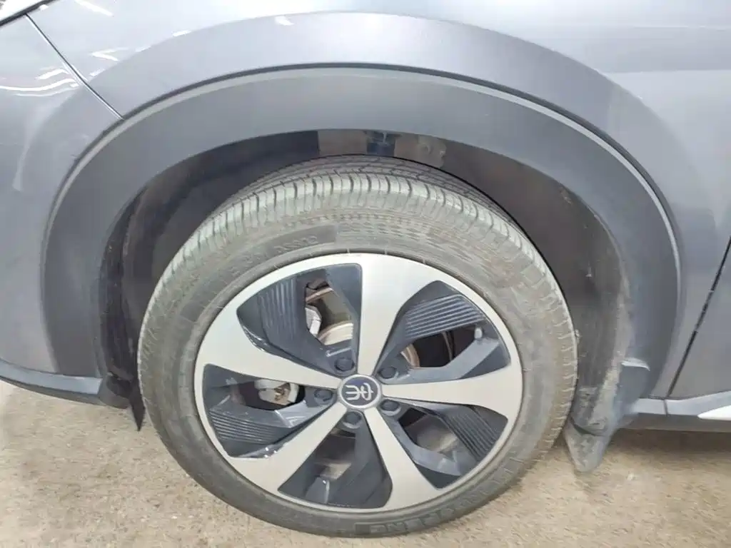 BYD PLUS New Energy — миниатюра 23