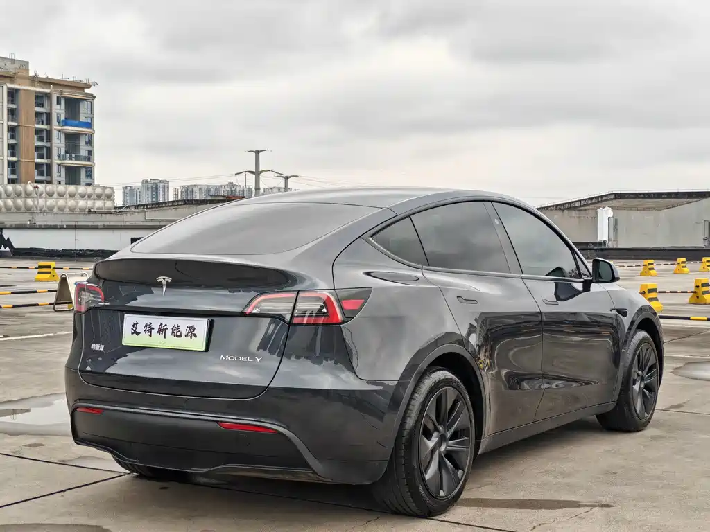 Tesla Model Y — миниатюра 7