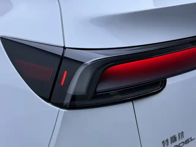 Tesla Model Y — миниатюра 13
