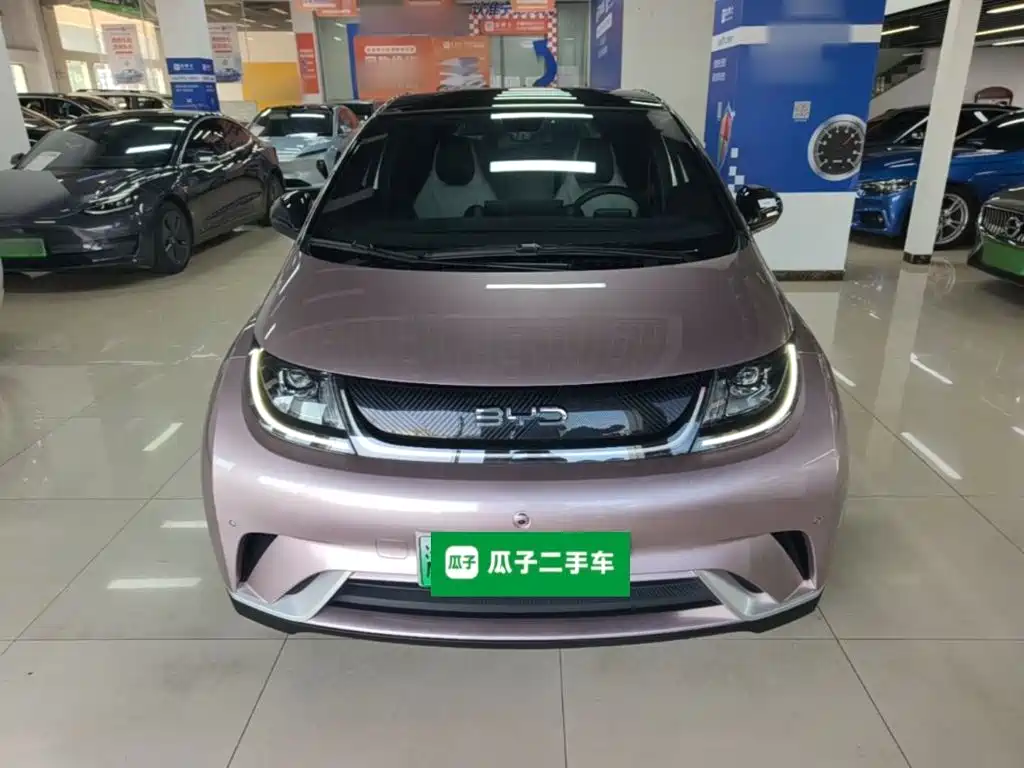 BYD Dolphin — миниатюра 3