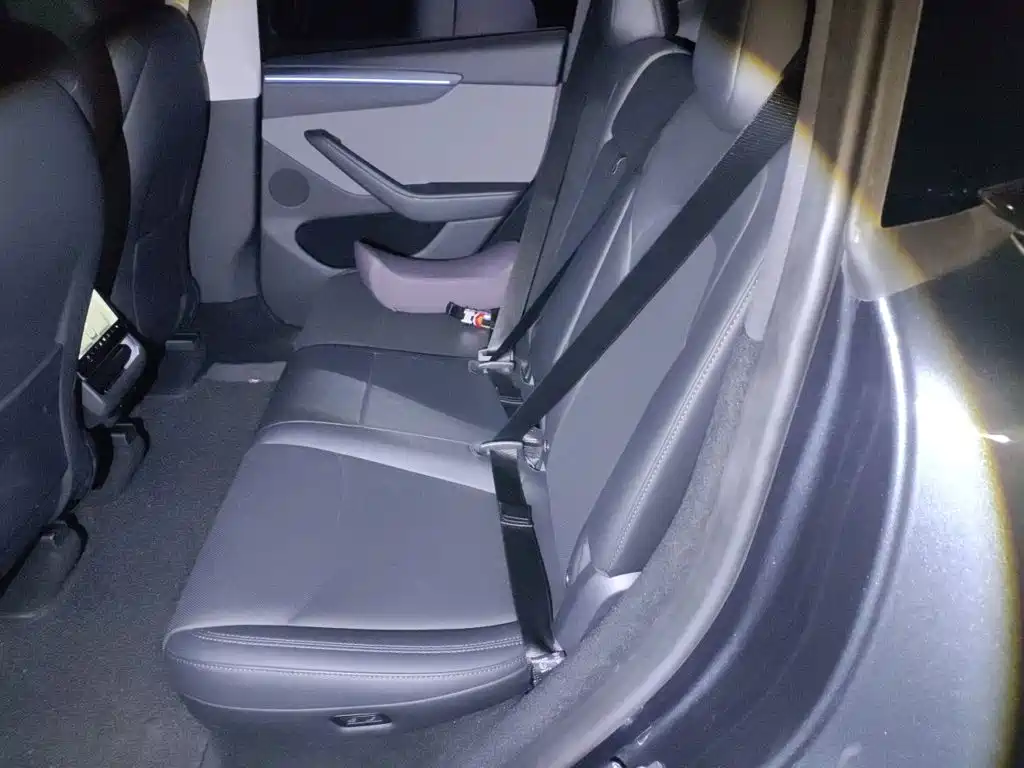 Tesla Model Y — миниатюра 18