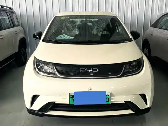 BYD DOLPHIN 2025
