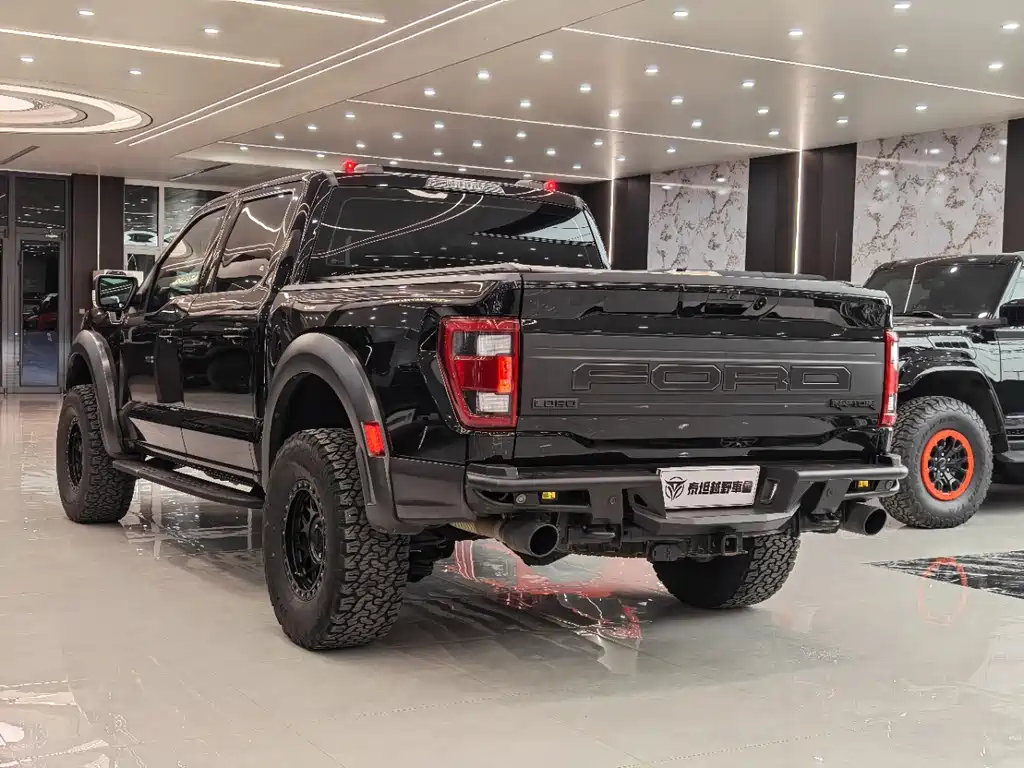 Ford F-150 Raptor — миниатюра 9