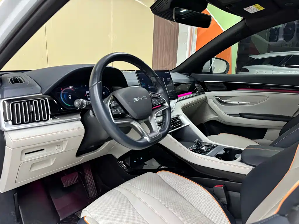 BYD PLUS New Energy — миниатюра 7