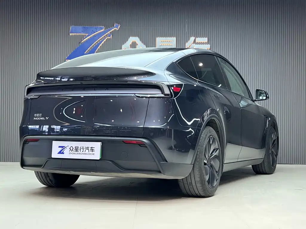 Tesla Model Y — миниатюра 4