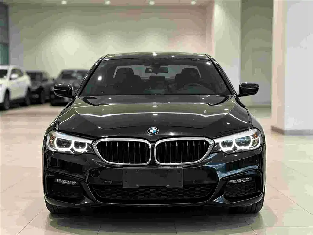 BMW 5 Series — миниатюра 2