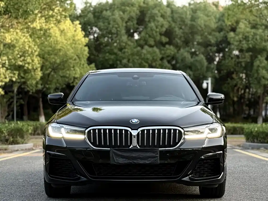 BMW 5 Series — миниатюра 2