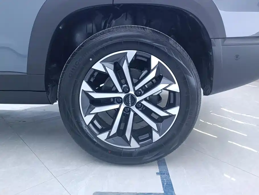 Haval Big Dog — миниатюра 6
