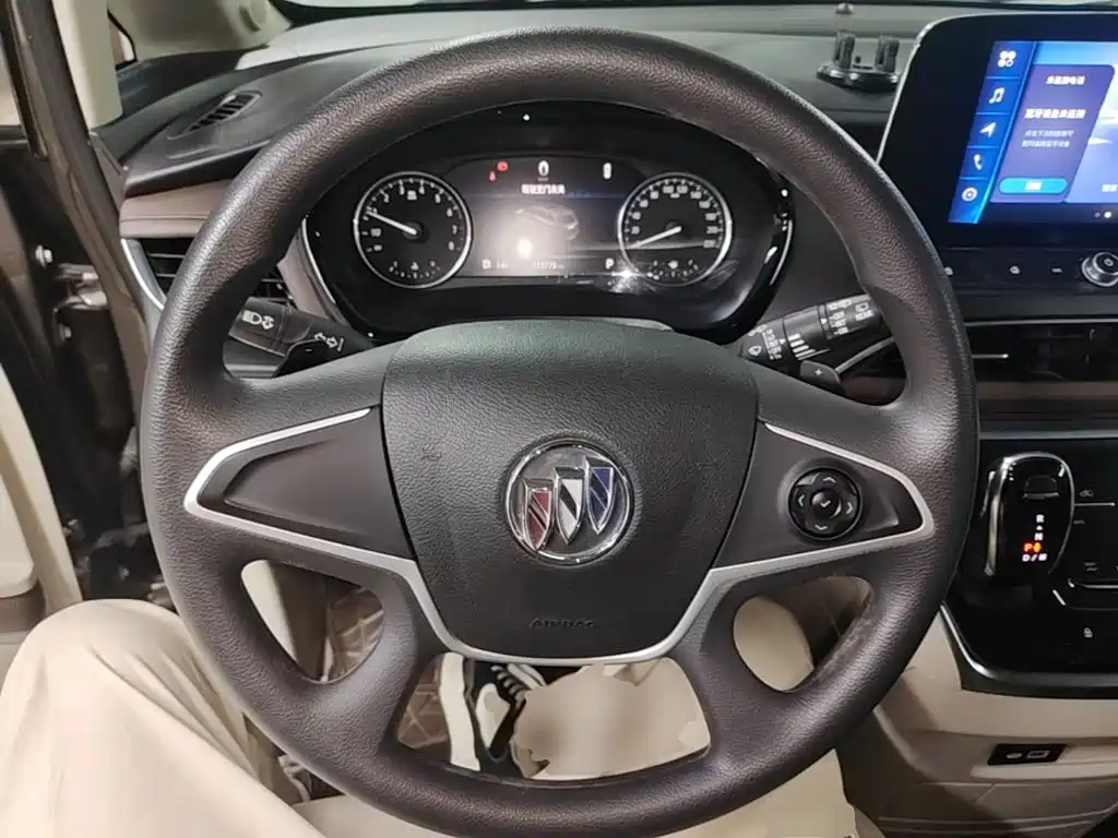 Buick GL8 — миниатюра 11