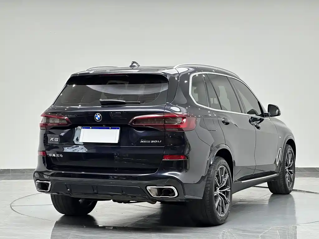 BMW X5 — миниатюра 7