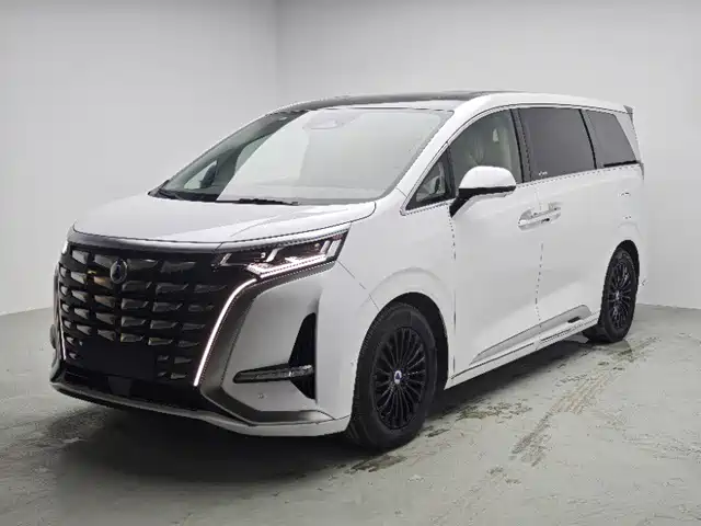 2023 Denza D9