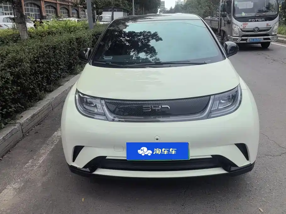 BYD Dolphin — миниатюра 2