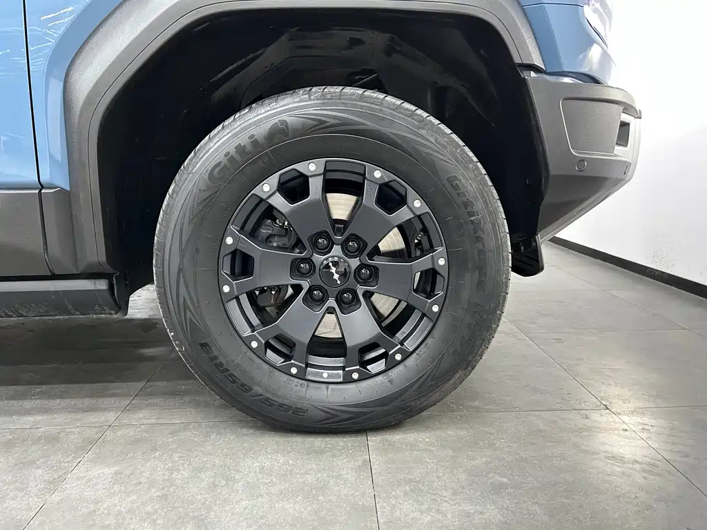 FANG CHENG BAO LEOPARD 5