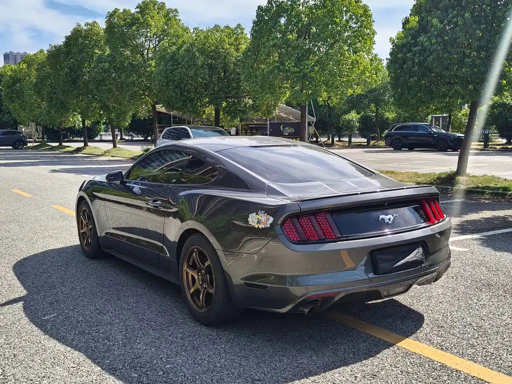 Ford Mustang — миниатюра 9