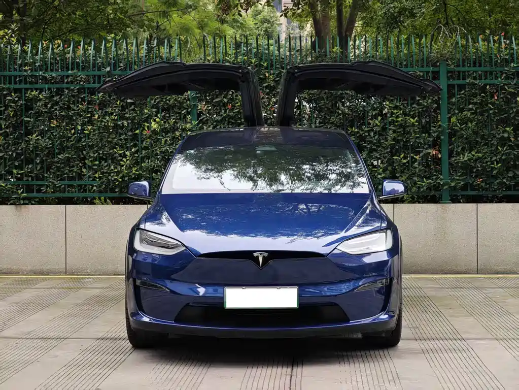 Tesla Model X — миниатюра 2