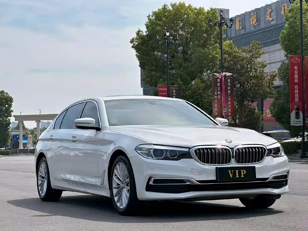 BMW 5 Series 5 2020 525Li Luxury