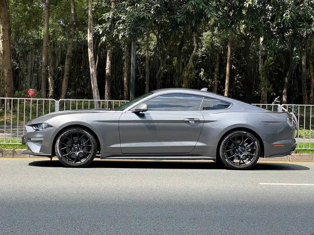 Ford Mustang — миниатюра 4