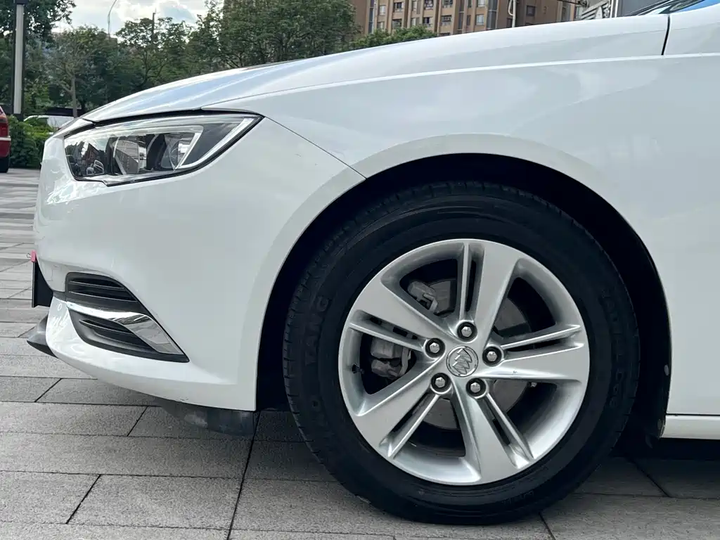 Buick Regal — миниатюра 11