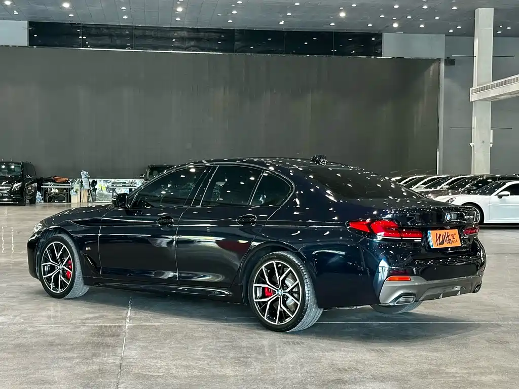 BMW 5 Series (Import) — миниатюра 16