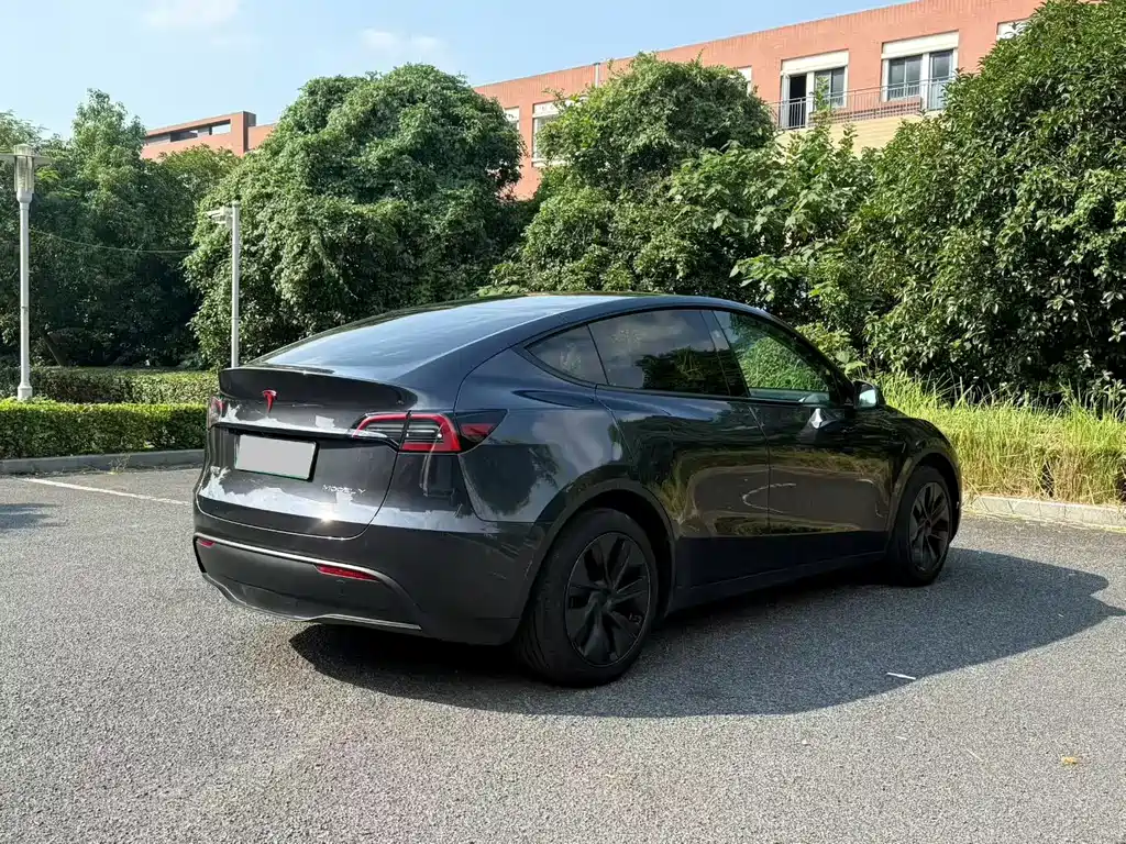 Tesla Model Y — миниатюра 9