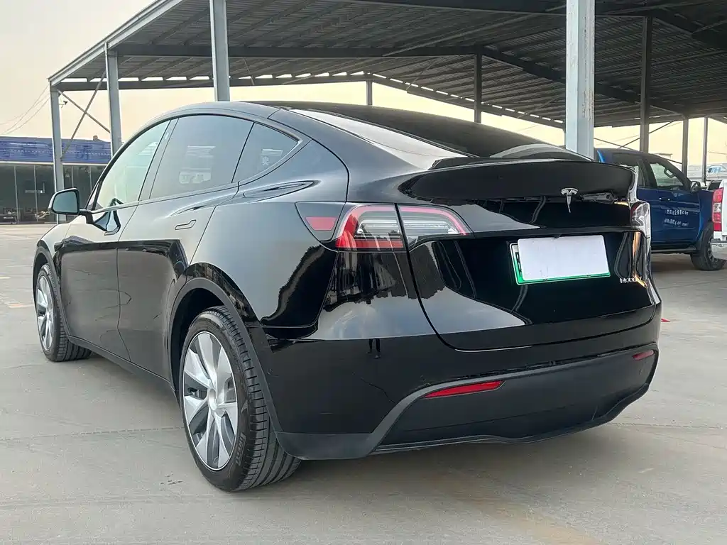 Tesla Model Y — миниатюра 8