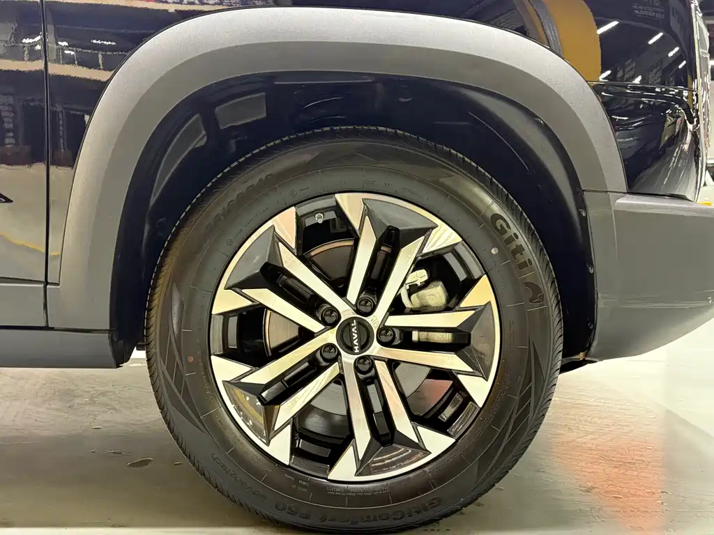 Haval Big Dog — миниатюра 27