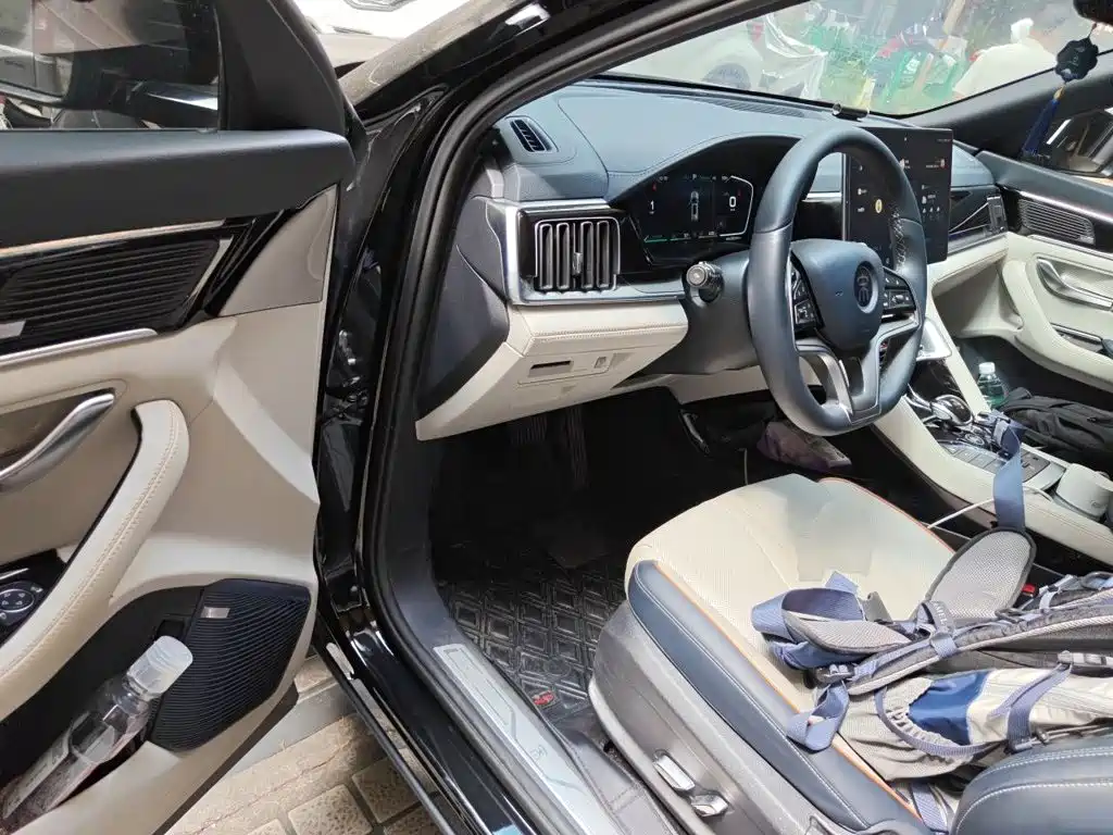 BYD PLUS New Energy — миниатюра 12