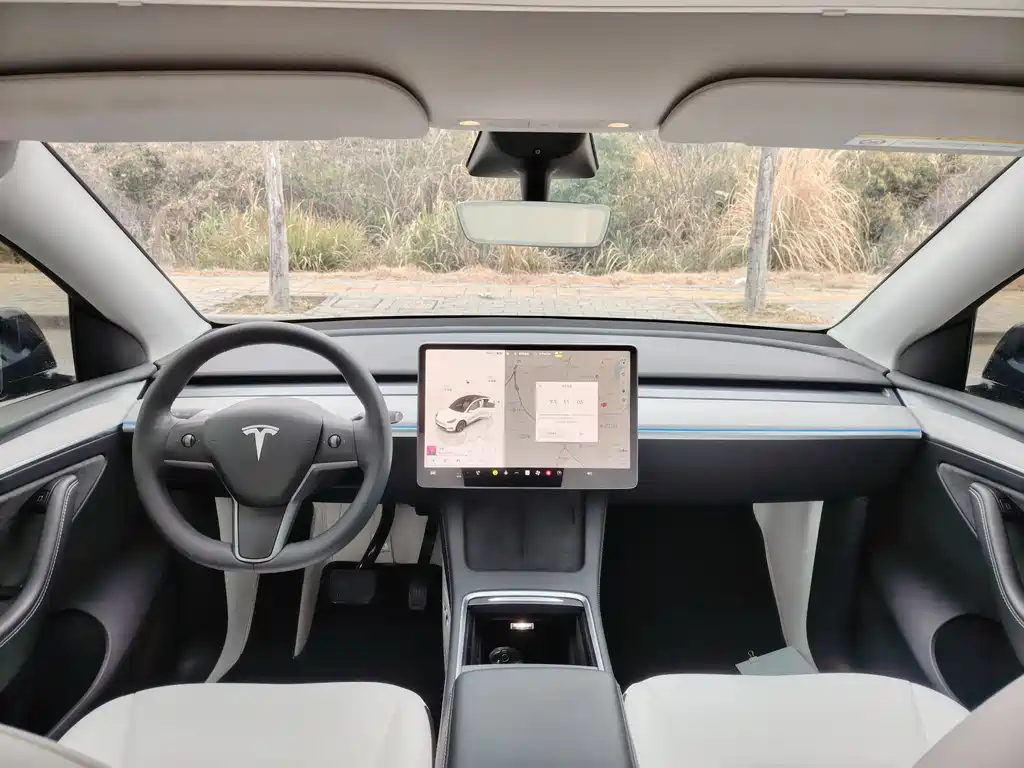 TESLA MODEL Y