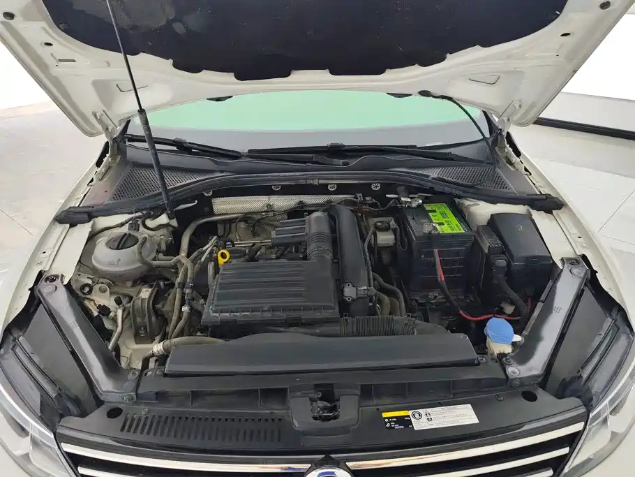 Volkswagen Lamando — миниатюра 10