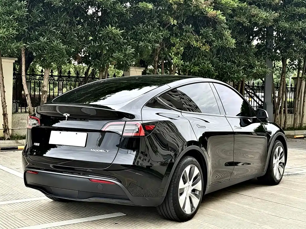 Tesla Model Y — миниатюра 10