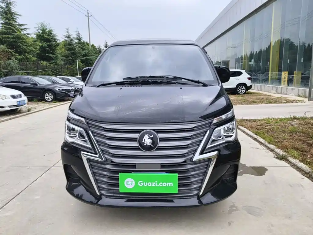 Fengxing Lingzhi — миниатюра 3