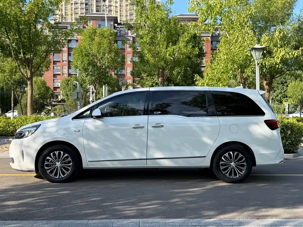 Buick GL8 — миниатюра 4
