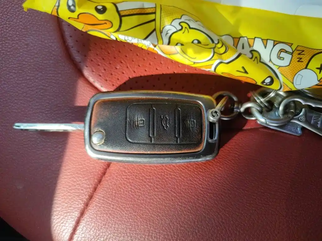 Volkswagen Santana — миниатюра 12