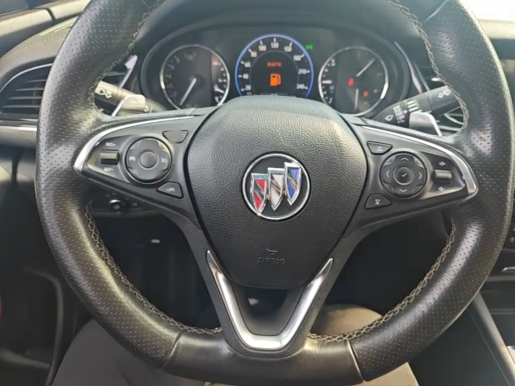 Buick Regal — миниатюра 11