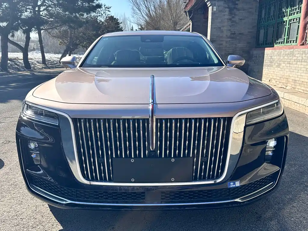 Hongqi HONGQI H9