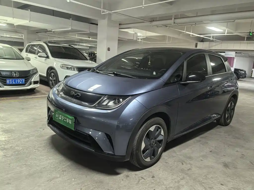 BYD Dolphin