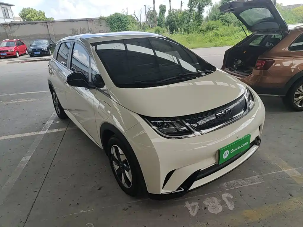 BYD Dolphin — миниатюра 4