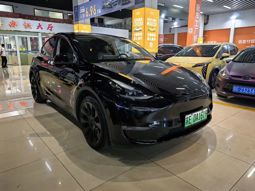 Tesla Model Y — миниатюра 2