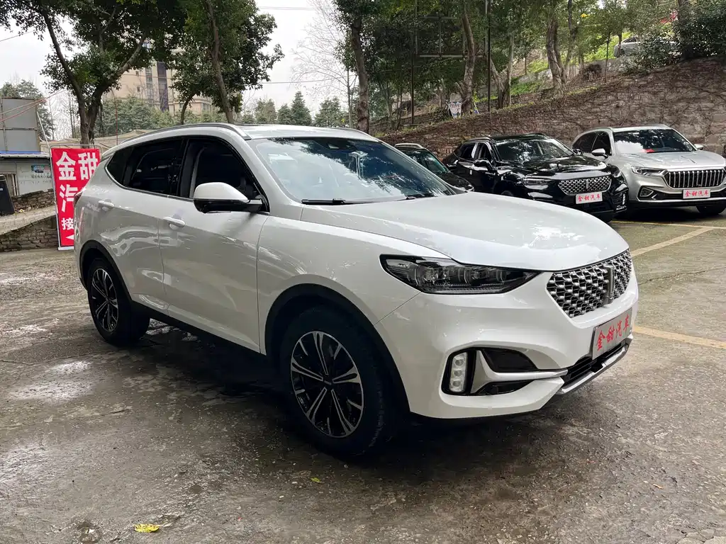 WEI PAI WEI BRAND VV6