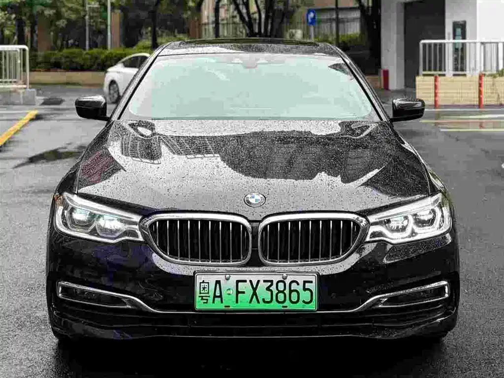 BMW 5 Series 5 2019 530Le Luxury