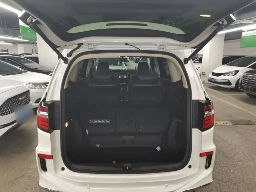 Honda Elysion — миниатюра 19