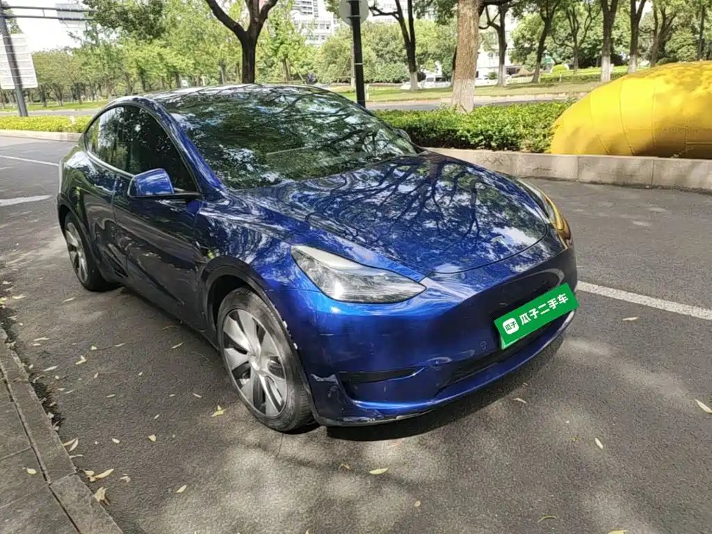 Tesla Model Y — миниатюра 4