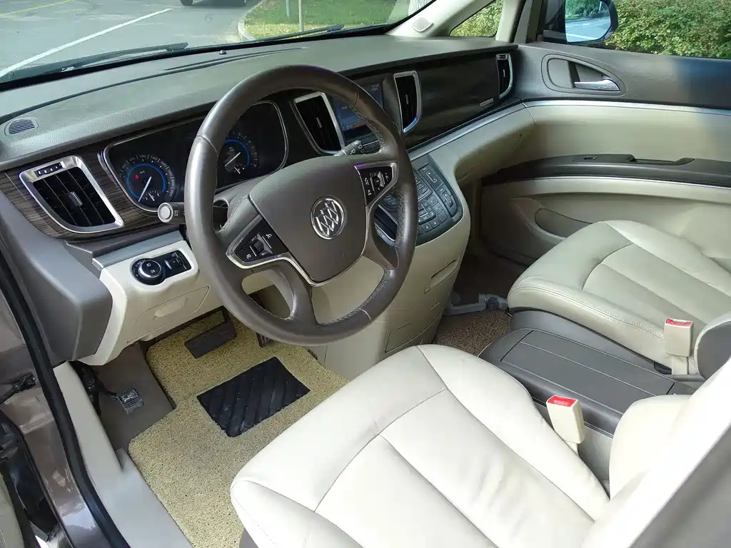 Buick GL8 — миниатюра 15