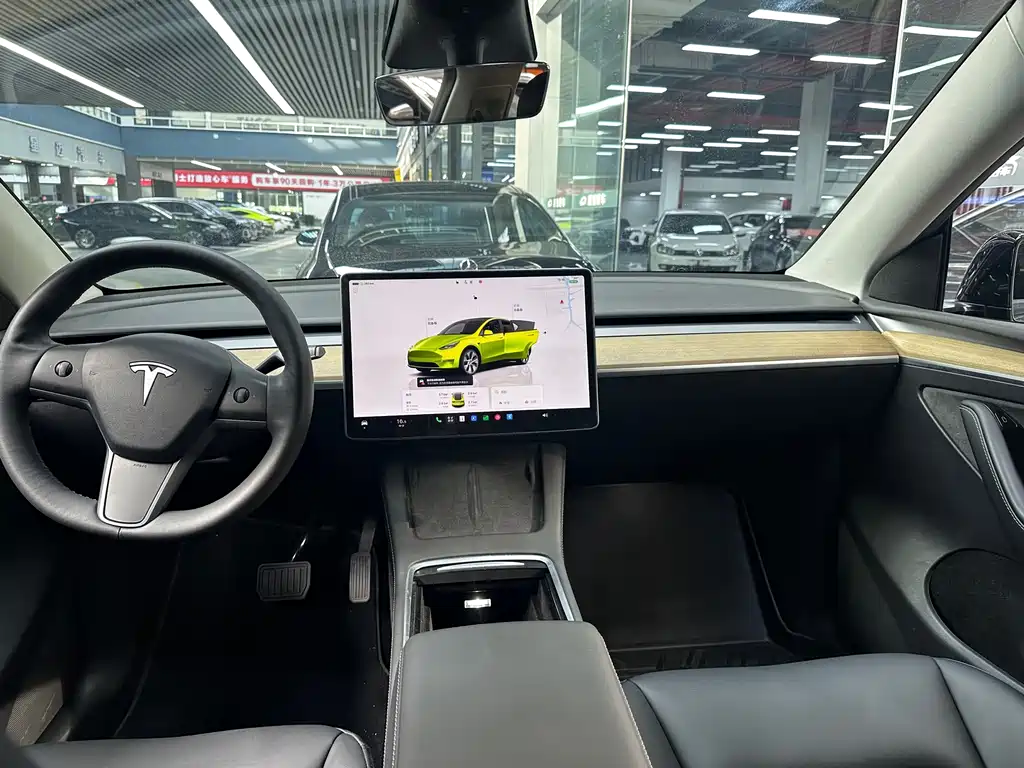 Tesla Model Y — миниатюра 6