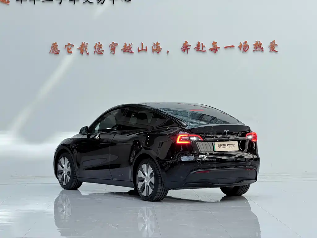 Tesla Model Y — миниатюра 7