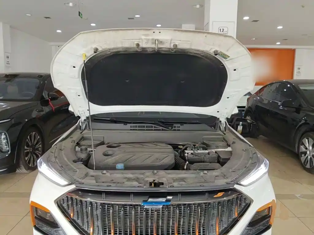 Oshan Oushang X5 — миниатюра 20