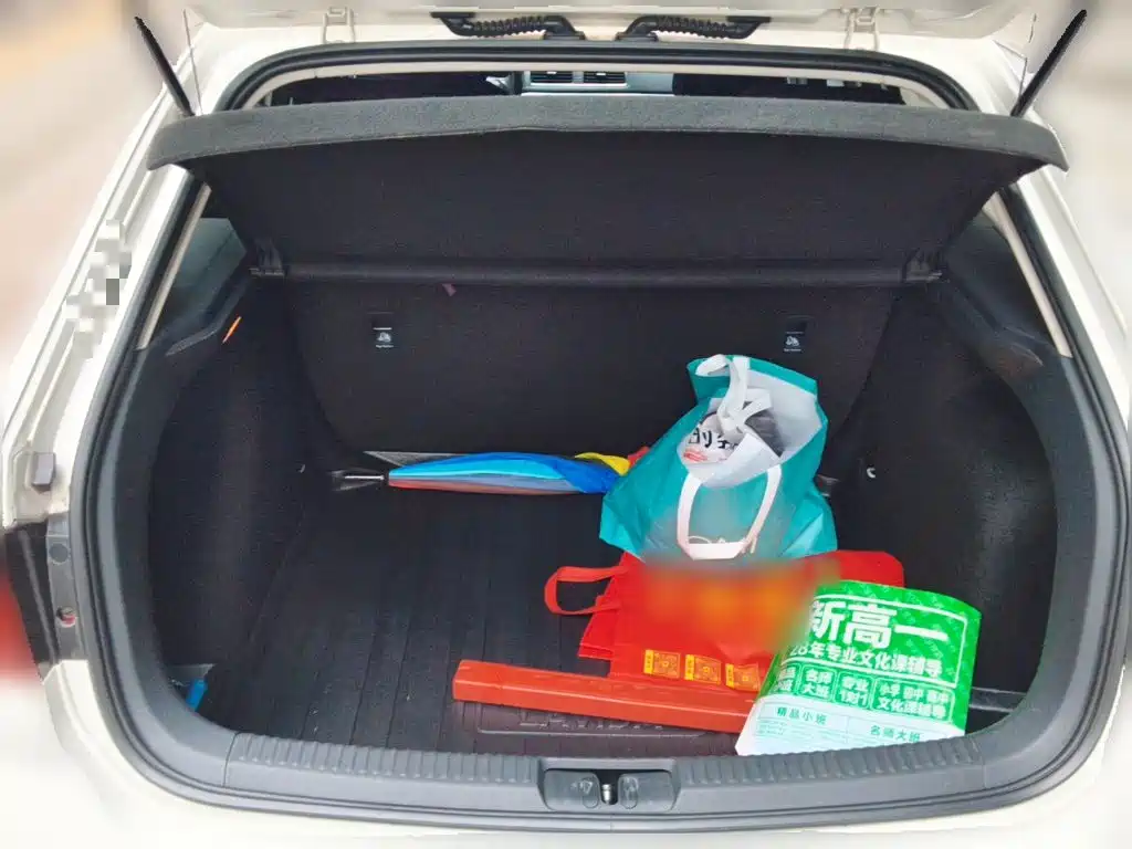 Volkswagen Gran Lavida — миниатюра 20