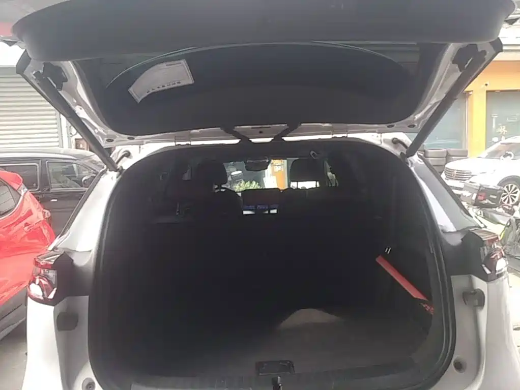BYD Tang New Energy — миниатюра 19