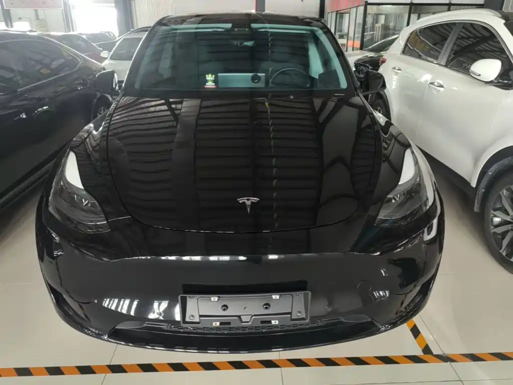 Tesla Model Y — миниатюра 3