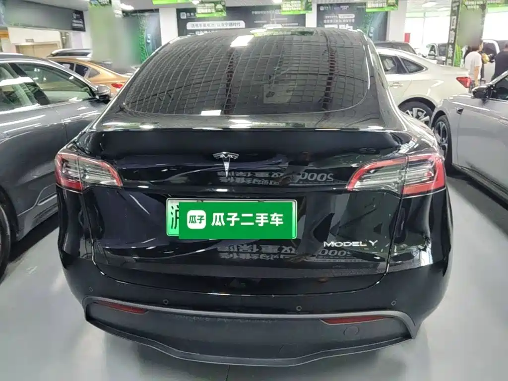 Tesla Model Y — миниатюра 6